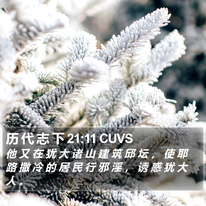 历 代 志 下 21:11 CUVS Bible Study