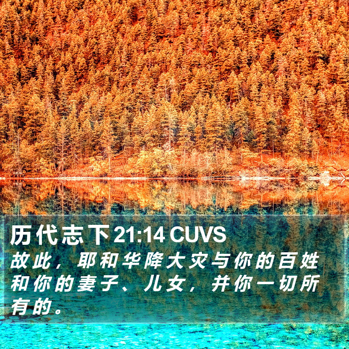 历 代 志 下 21:14 CUVS Bible Study