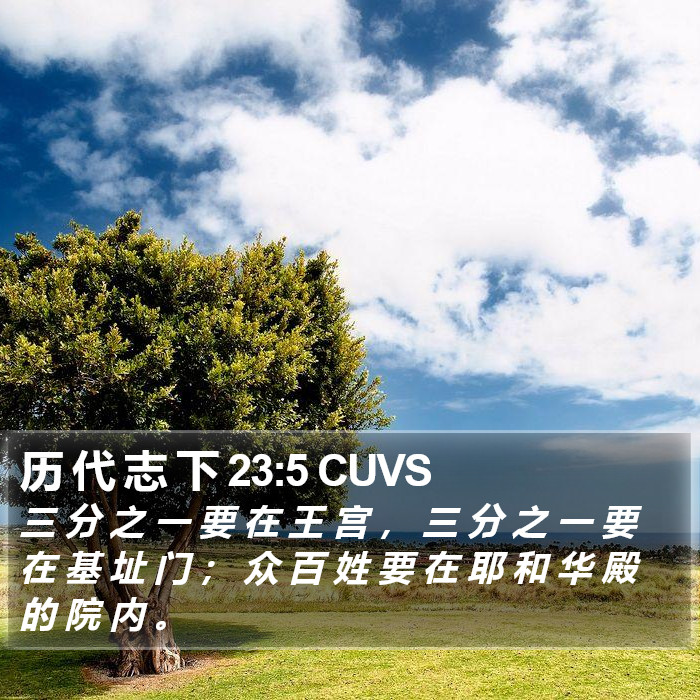 历 代 志 下 23:5 CUVS Bible Study