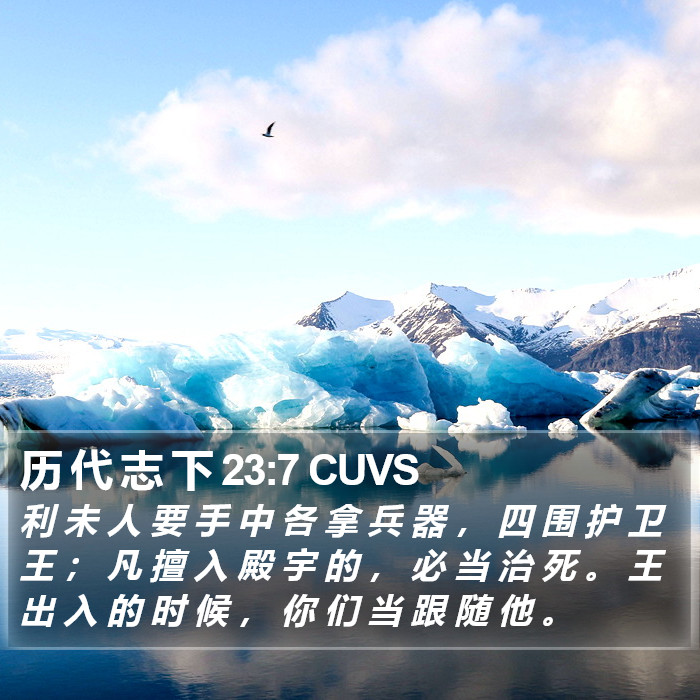 历 代 志 下 23:7 CUVS Bible Study
