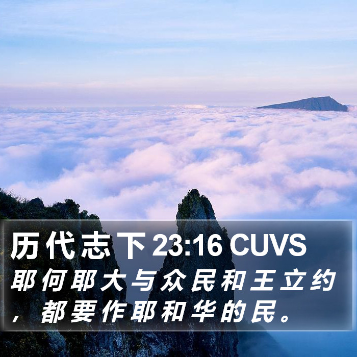 历 代 志 下 23:16 CUVS Bible Study