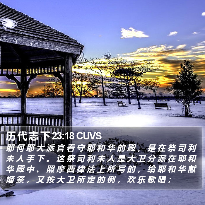 历 代 志 下 23:18 CUVS Bible Study