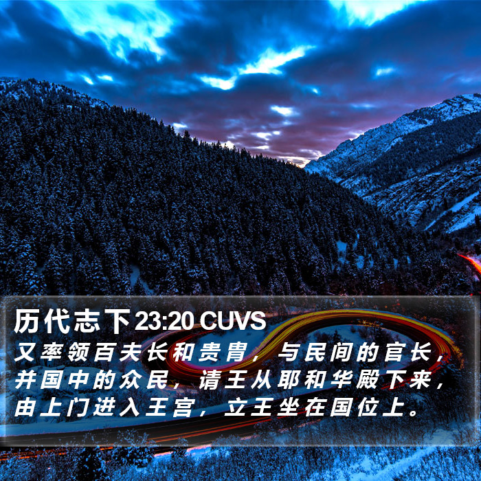 历 代 志 下 23:20 CUVS Bible Study