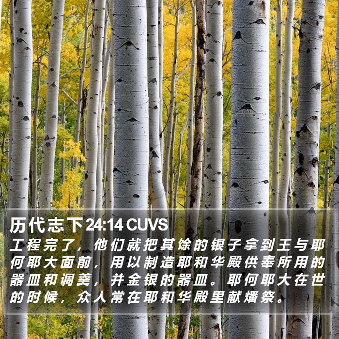 历 代 志 下 24:14 CUVS Bible Study