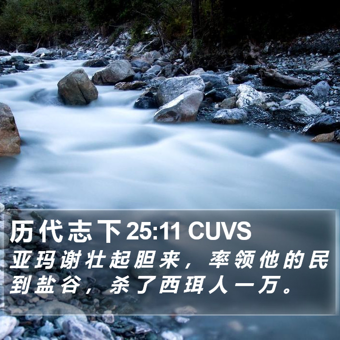 历 代 志 下 25:11 CUVS Bible Study