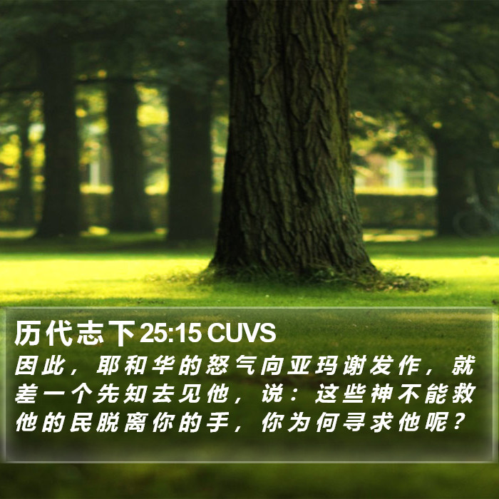 历 代 志 下 25:15 CUVS Bible Study