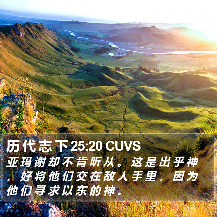 历 代 志 下 25:20 CUVS Bible Study