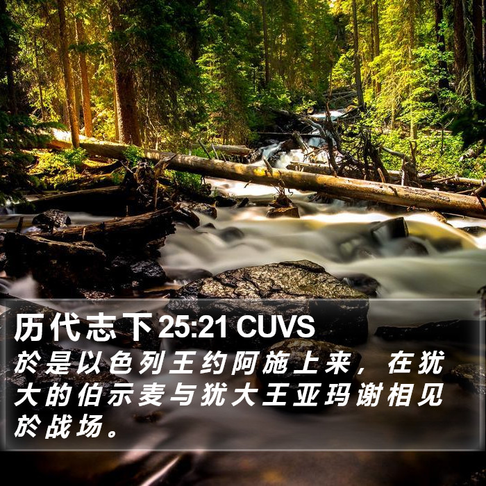历 代 志 下 25:21 CUVS Bible Study