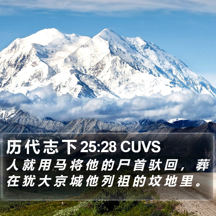 历 代 志 下 25:28 CUVS Bible Study