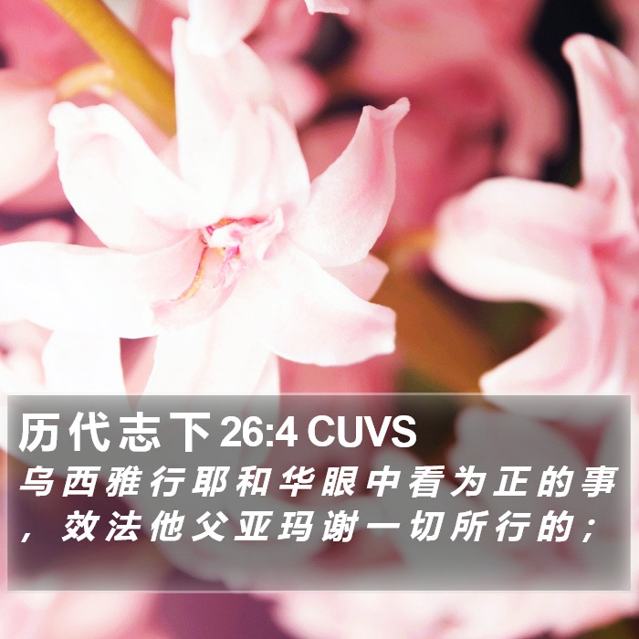 历 代 志 下 26:4 CUVS Bible Study