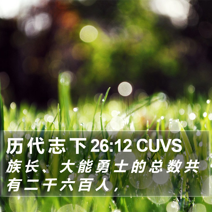 历 代 志 下 26:12 CUVS Bible Study