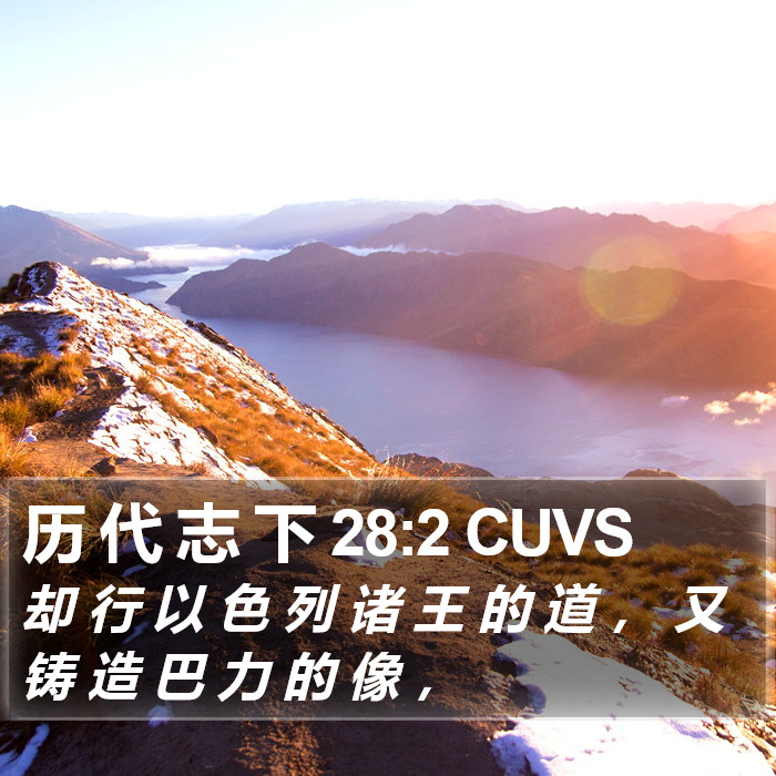 历 代 志 下 28:2 CUVS Bible Study