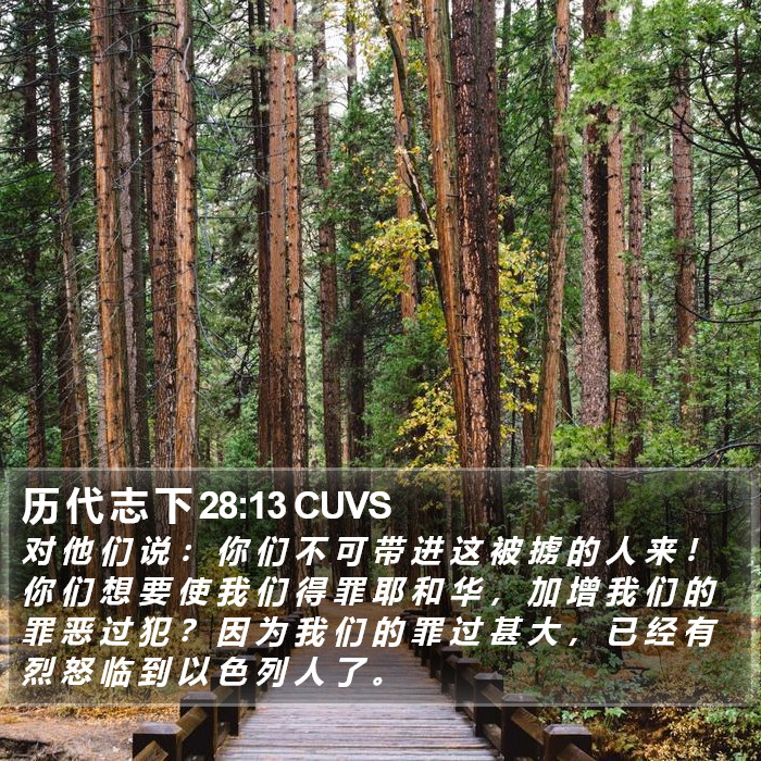历 代 志 下 28:13 CUVS Bible Study