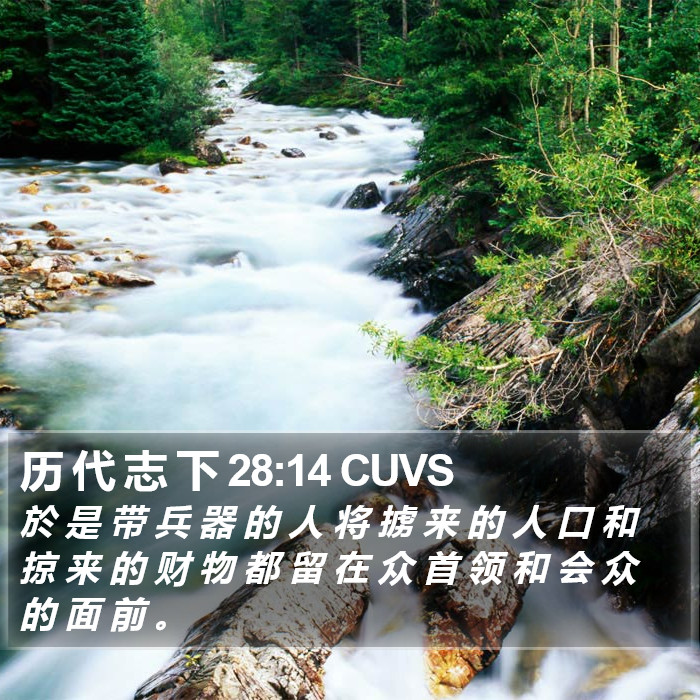历 代 志 下 28:14 CUVS Bible Study