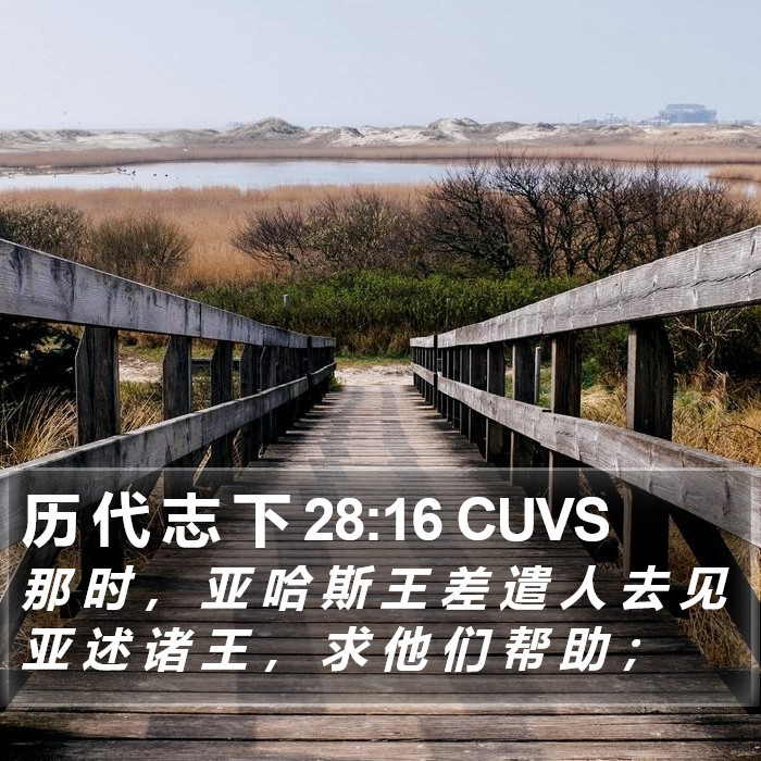 历 代 志 下 28:16 CUVS Bible Study