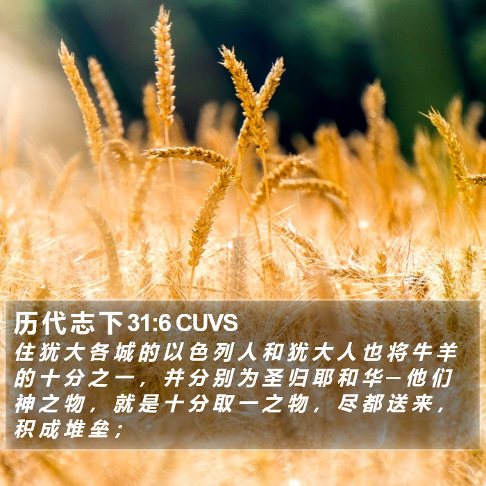 历 代 志 下 31:6 CUVS Bible Study