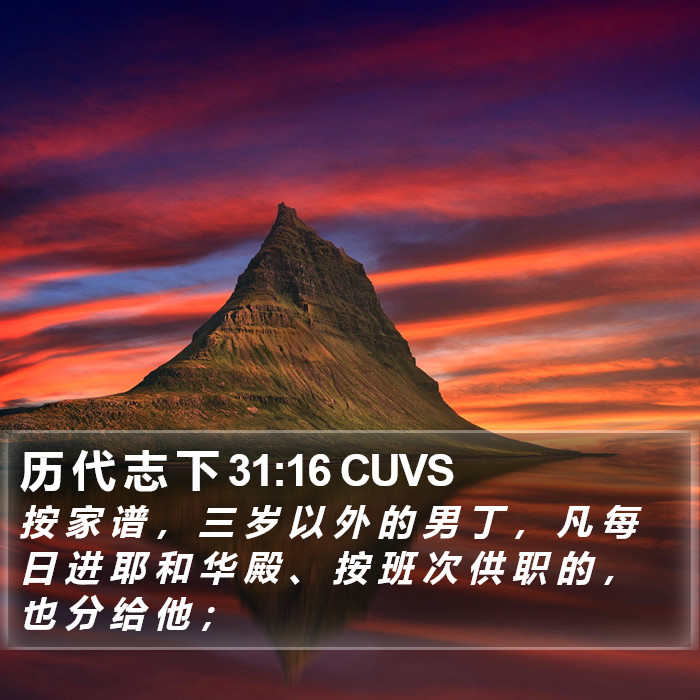 历 代 志 下 31:16 CUVS Bible Study