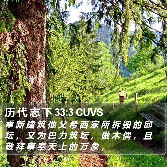 历 代 志 下 33:3 CUVS Bible Study