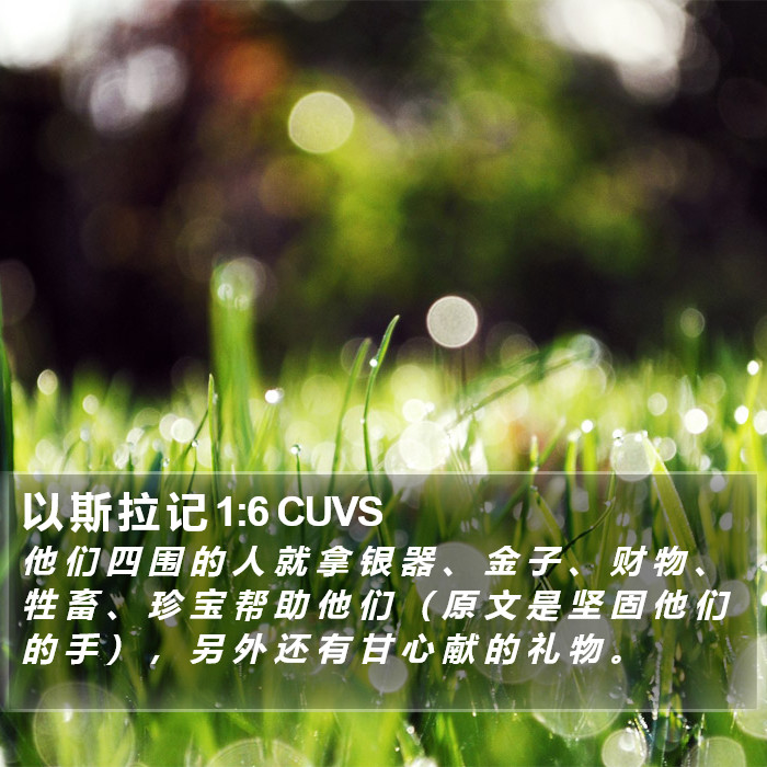 以 斯 拉 记 1:6 CUVS Bible Study