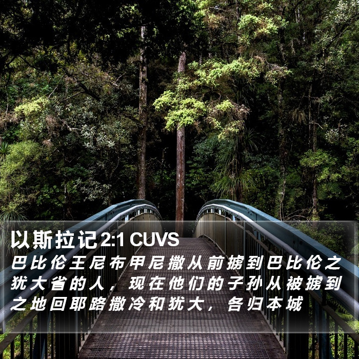 以 斯 拉 记 2:1 CUVS Bible Study
