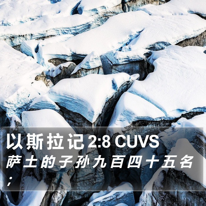 以 斯 拉 记 2:8 CUVS Bible Study