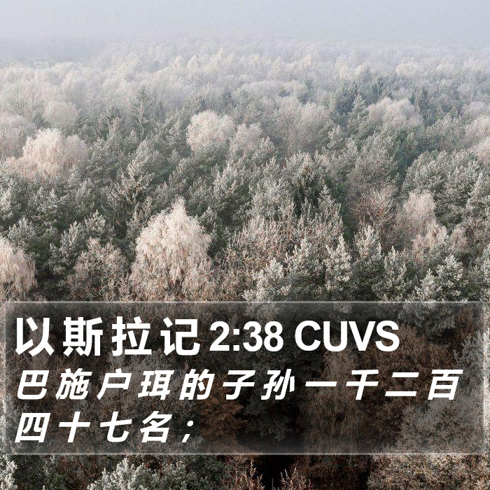 以 斯 拉 记 2:38 CUVS Bible Study