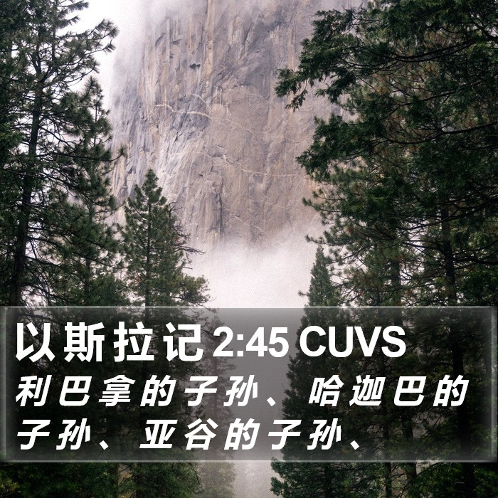 以 斯 拉 记 2:45 CUVS Bible Study