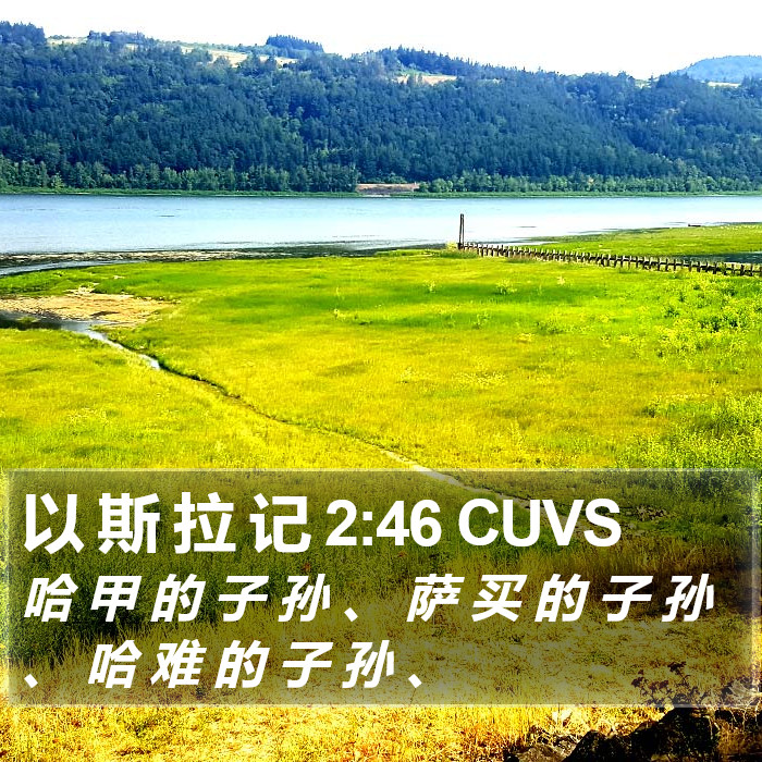 以 斯 拉 记 2:46 CUVS Bible Study