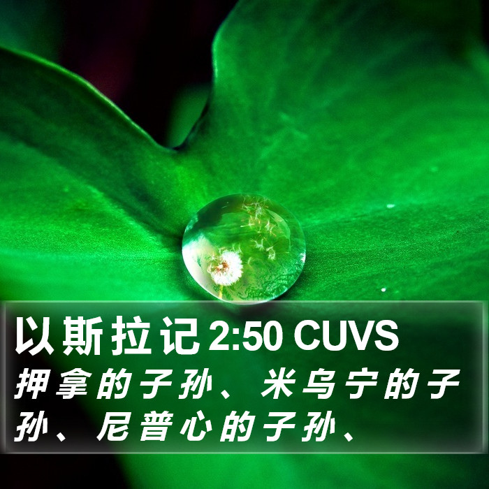 以 斯 拉 记 2:50 CUVS Bible Study