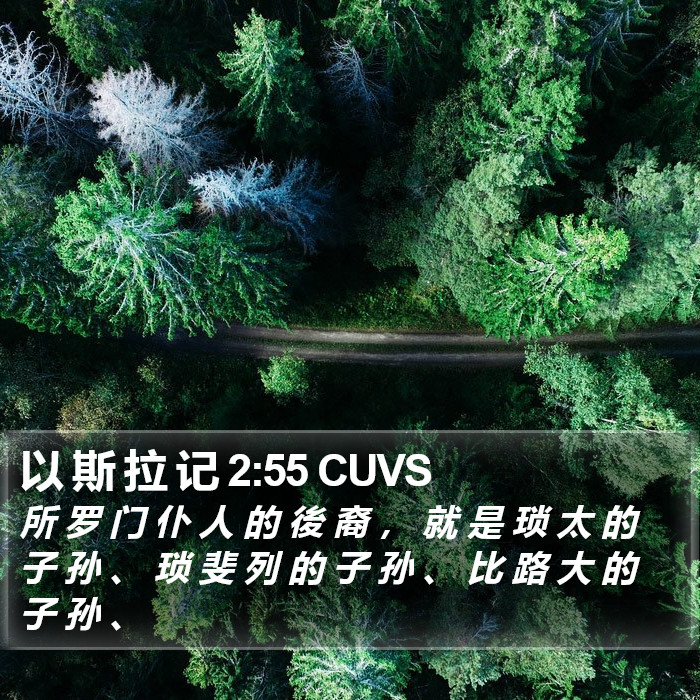 以 斯 拉 记 2:55 CUVS Bible Study