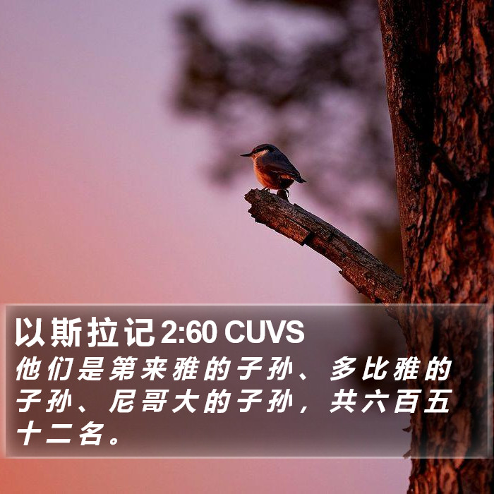 以 斯 拉 记 2:60 CUVS Bible Study