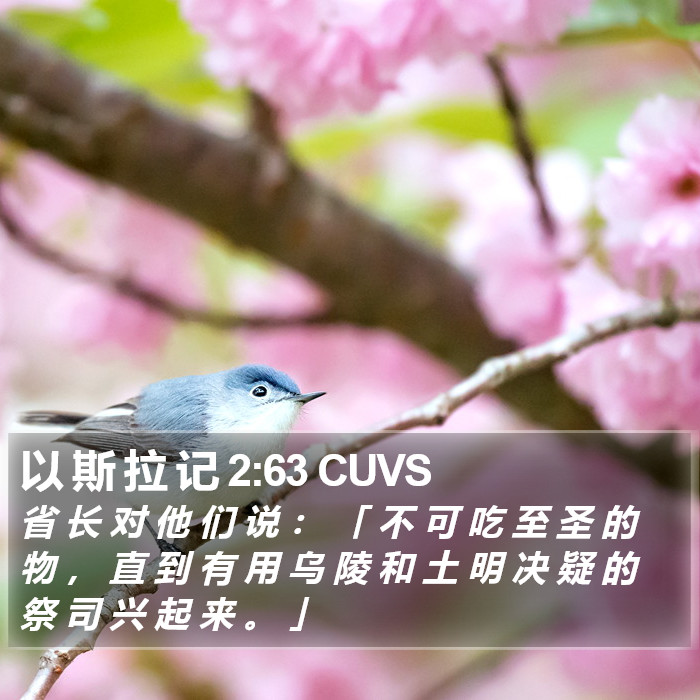 以 斯 拉 记 2:63 CUVS Bible Study