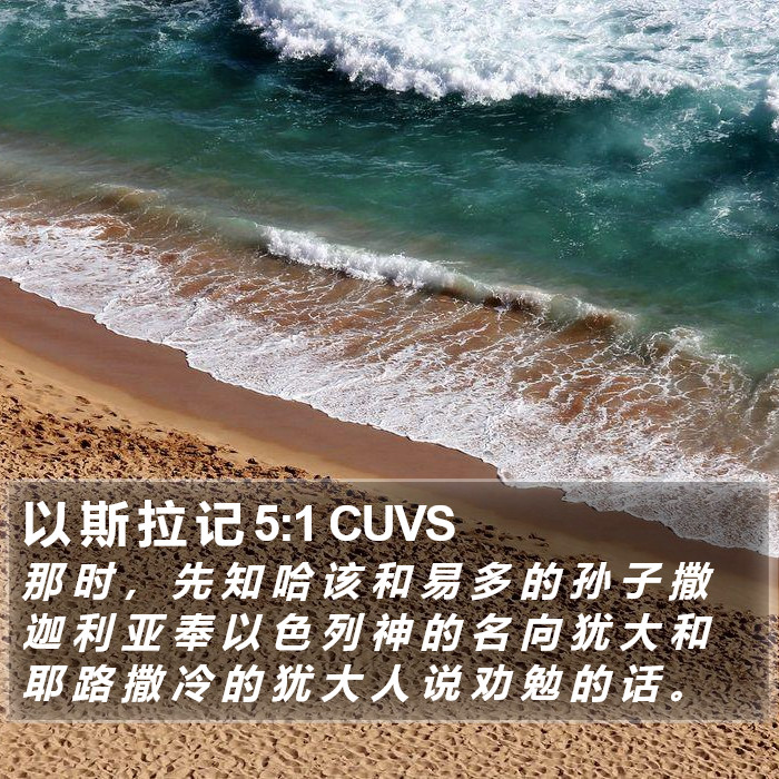 以 斯 拉 记 5:1 CUVS Bible Study