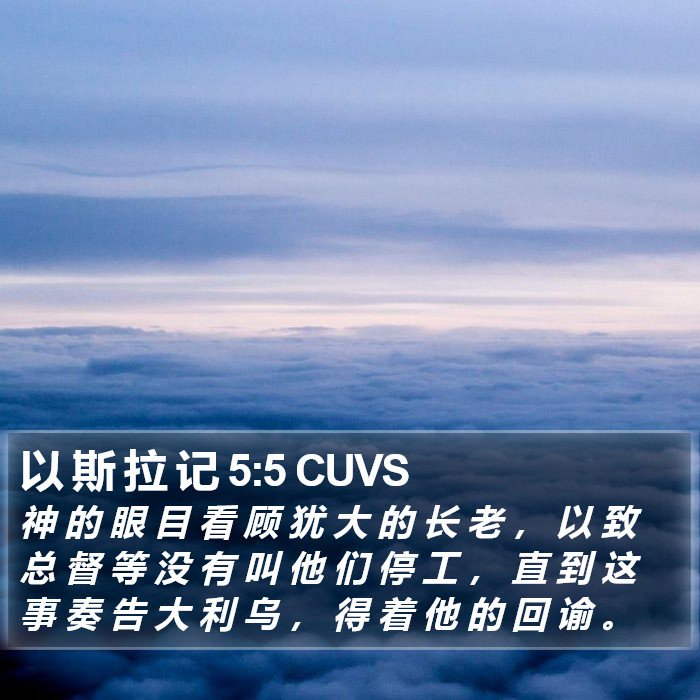 以 斯 拉 记 5:5 CUVS Bible Study