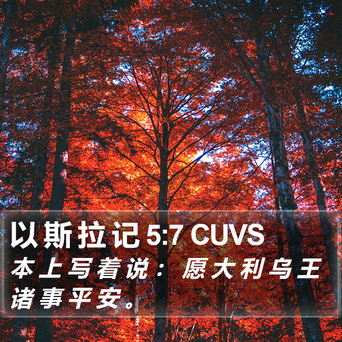 以 斯 拉 记 5:7 CUVS Bible Study