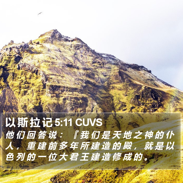 以 斯 拉 记 5:11 CUVS Bible Study