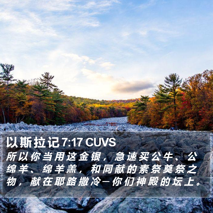 以 斯 拉 记 7:17 CUVS Bible Study