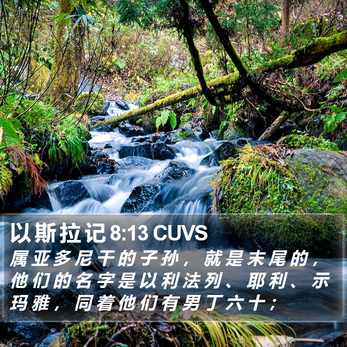 以 斯 拉 记 8:13 CUVS Bible Study