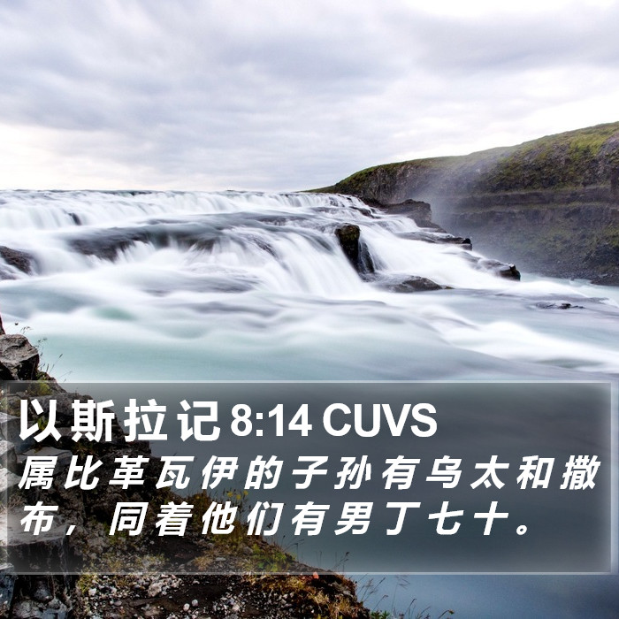 以 斯 拉 记 8:14 CUVS Bible Study