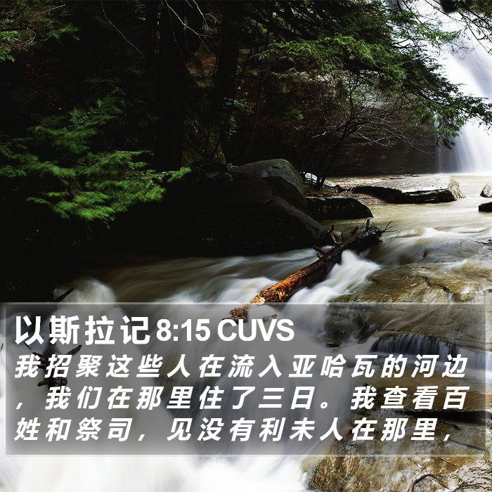 以 斯 拉 记 8:15 CUVS Bible Study