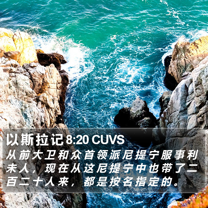 以 斯 拉 记 8:20 CUVS Bible Study