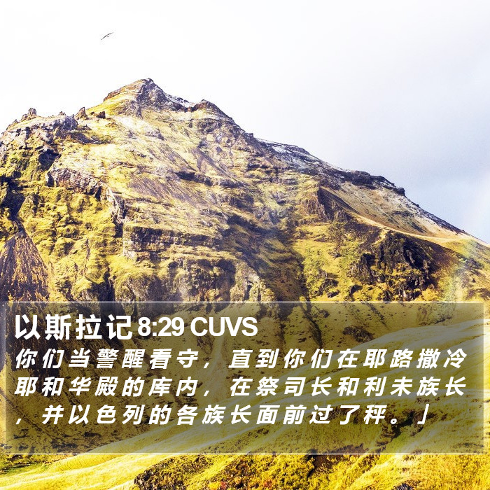 以 斯 拉 记 8:29 CUVS Bible Study