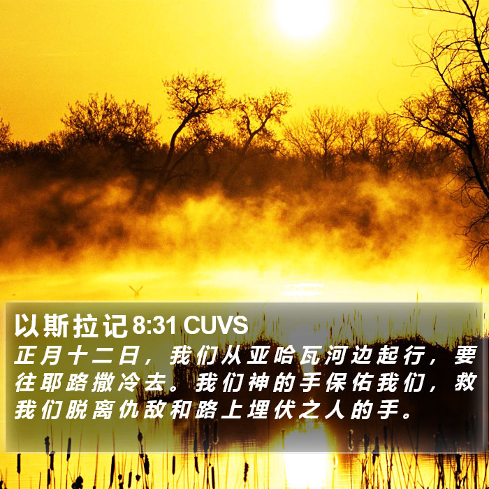 以 斯 拉 记 8:31 CUVS Bible Study