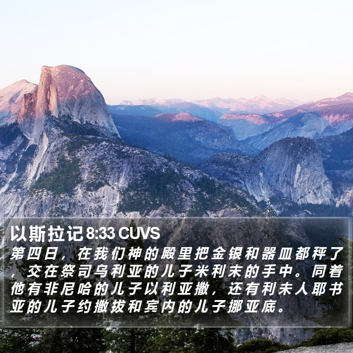 以 斯 拉 记 8:33 CUVS Bible Study