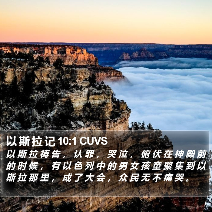 以 斯 拉 记 10:1 CUVS Bible Study