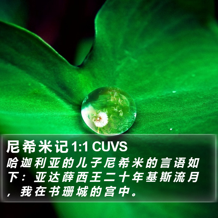 尼 希 米 记 1:1 CUVS Bible Study