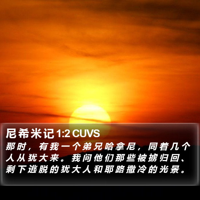 尼 希 米 记 1:2 CUVS Bible Study