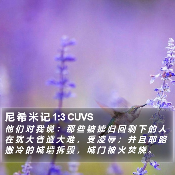 尼 希 米 记 1:3 CUVS Bible Study