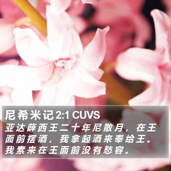 尼 希 米 记 2:1 CUVS Bible Study