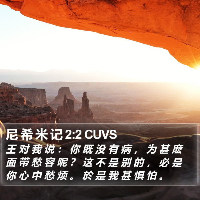 尼 希 米 记 2:2 CUVS Bible Study